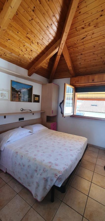 Albergo Primavera Senigallia Zewnętrze zdjęcie
