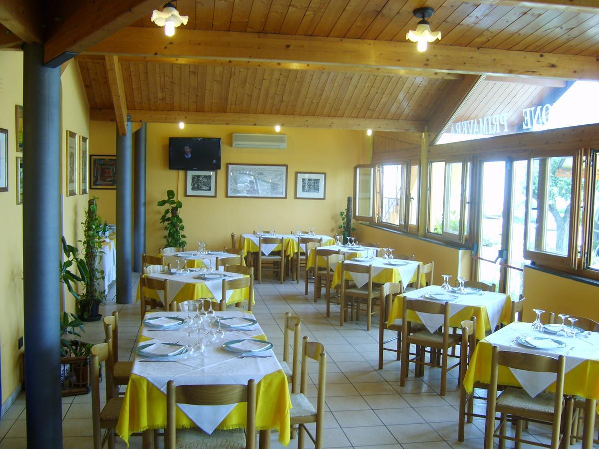 Albergo Primavera Senigallia Zewnętrze zdjęcie