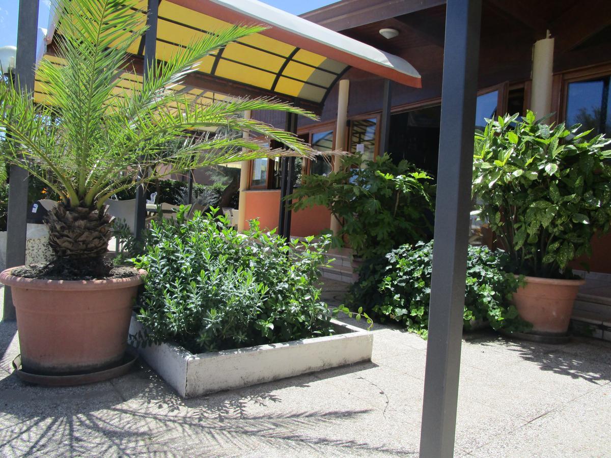 Albergo Primavera Senigallia Zewnętrze zdjęcie