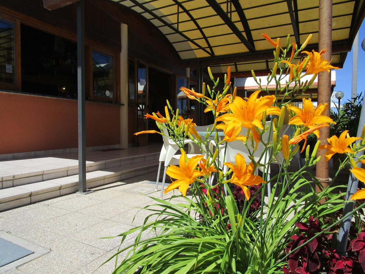 Albergo Primavera Senigallia Zewnętrze zdjęcie
